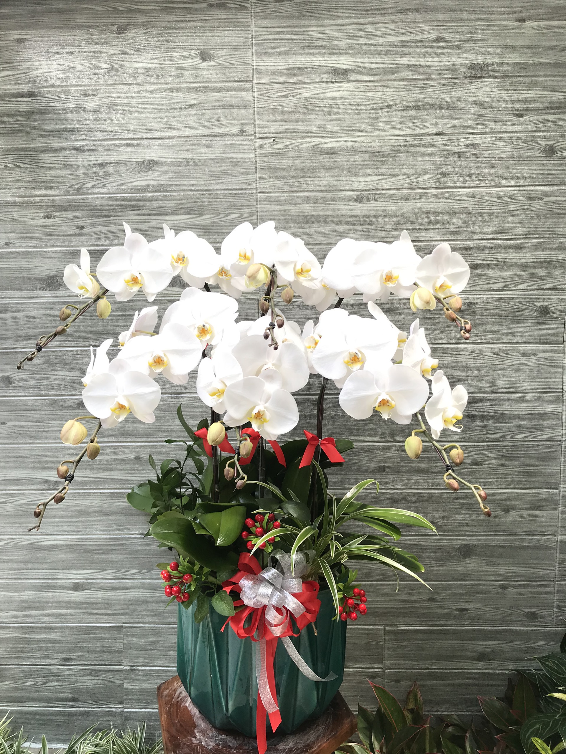 Hoa Lan Khai Trương 00078